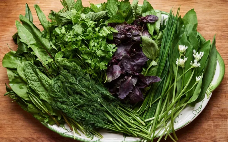 Mỗi loại rau thơm mang một sắc thái mùi vị riêng, tạo nên sự phong phú trong cách phối hợp nguyên liệu